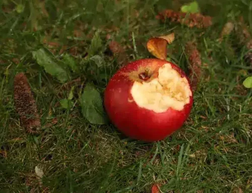 Getting to the Core