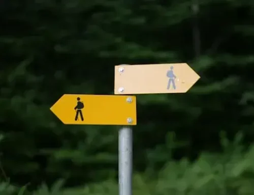 The Freedom to Choose